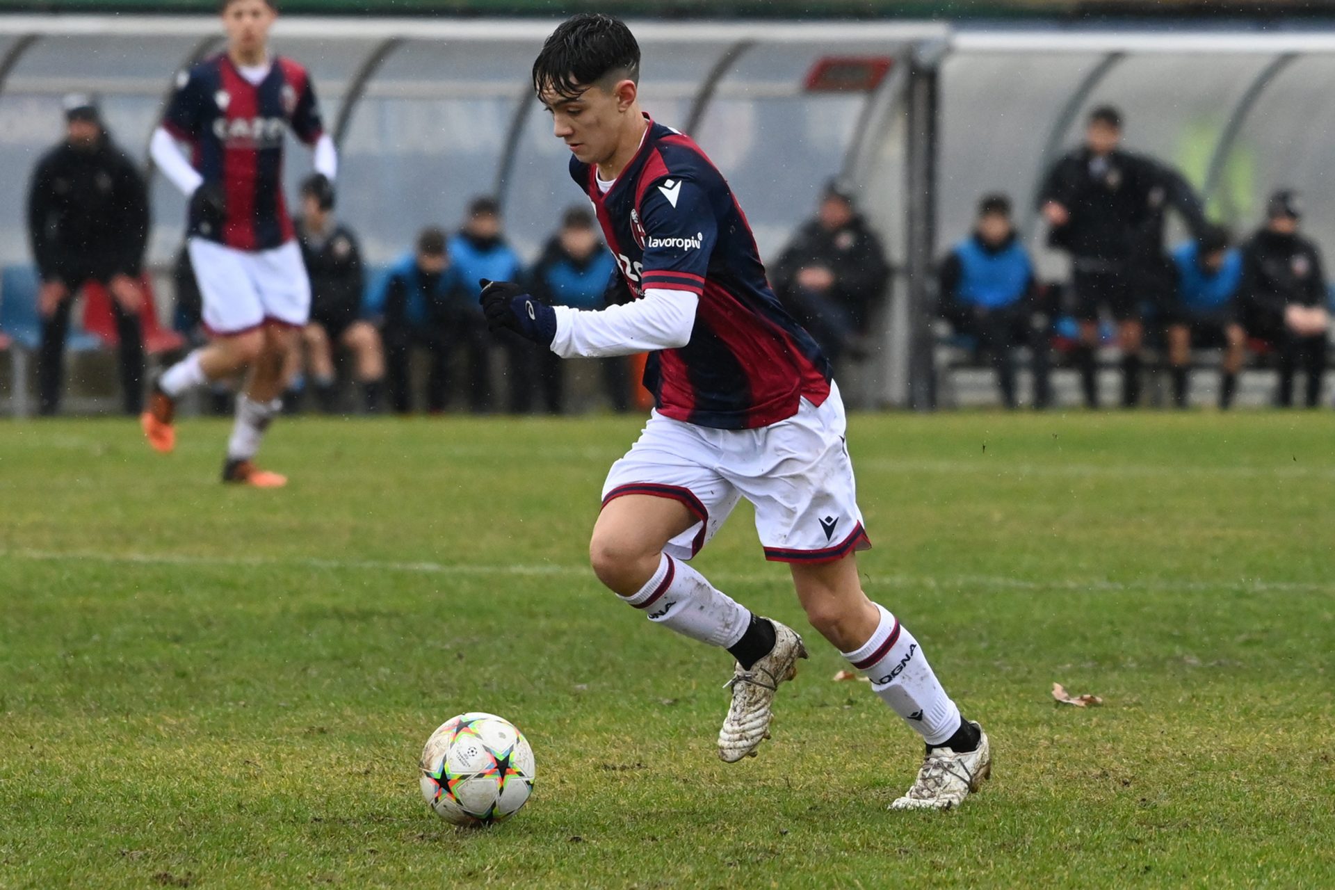 Giovanili, il programma del weekend Bolognafc
