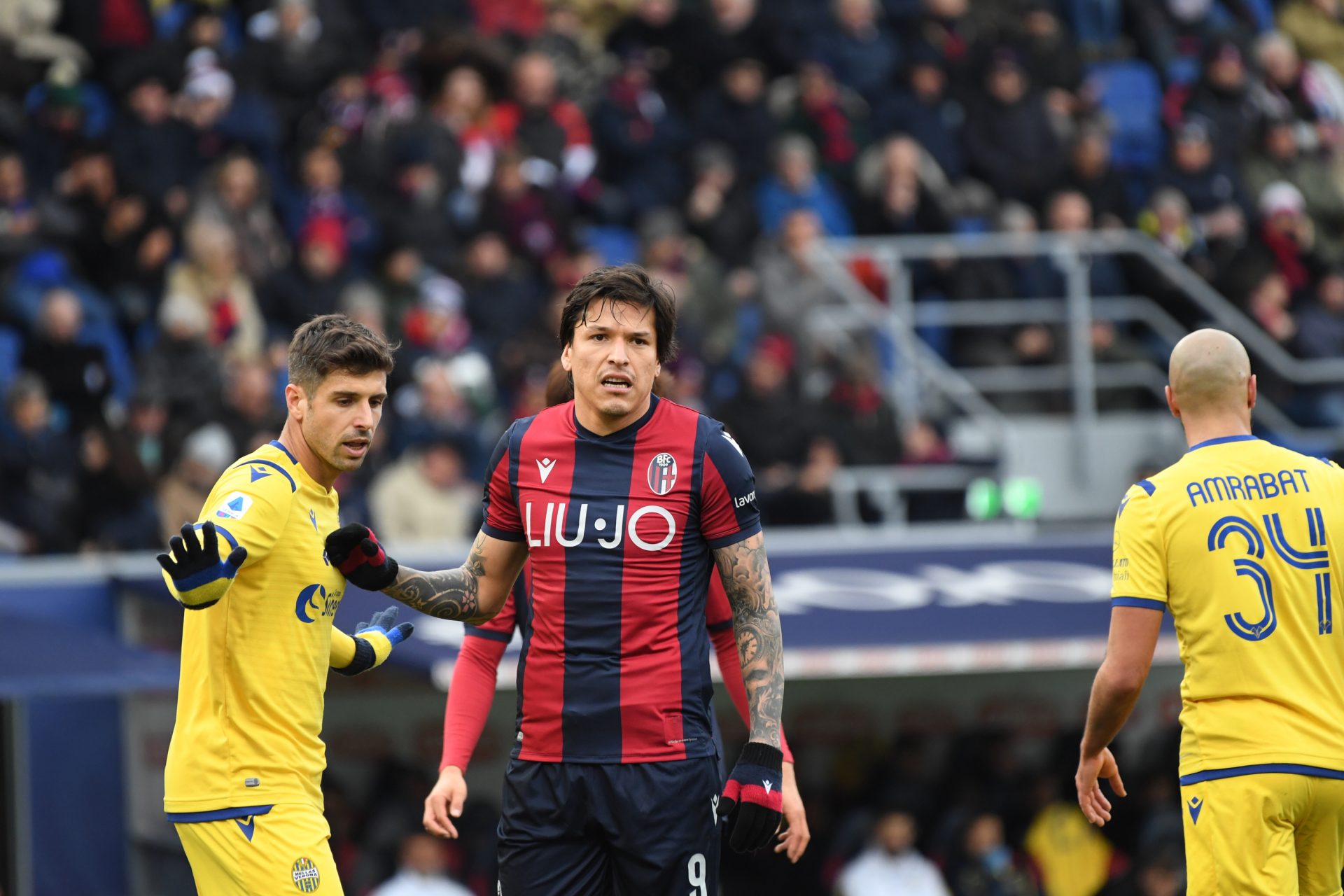 Verona Bologna - Hellas Verona Vs Bologna Prediction Hellas Verona Keen 