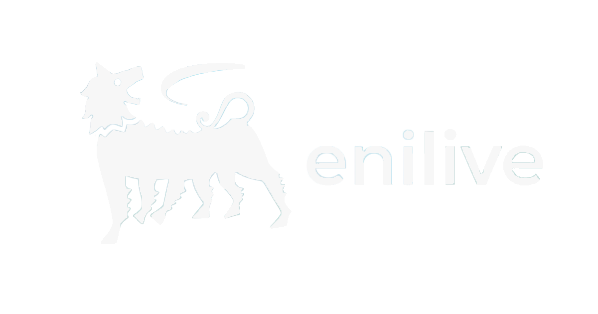 logo partner