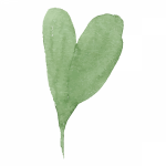 Foto del profilo di Agencia Koivegan