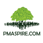 Foto del profilo di PMaspire