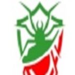 Foto del profilo di pestosol