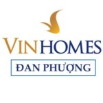 Foto del profilo di edinsoncavani