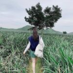 Foto del profilo di nhienhie