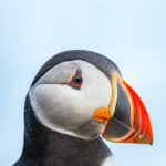 Foto del profilo di Karen Miller