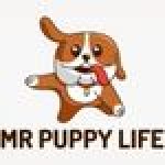 Foto del profilo di Mr puppy life