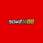 Foto del profilo di soikeo88
