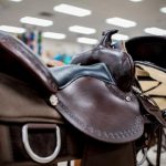 Foto del profilo di Horse Saddle