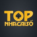 Foto del profilo di topnhacaiso