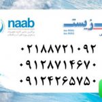 Foto del profilo di industrial