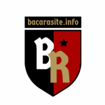 Foto del profilo di bacarasite.info