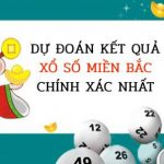 Foto del profilo di dudoanketquaxosomienbac