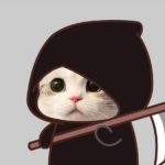 Foto del profilo di kingruss