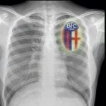 Foto del profilo di Stefano leale